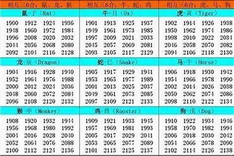 2002年生肖五行|2002年五行属什么 2002年出生是什么命